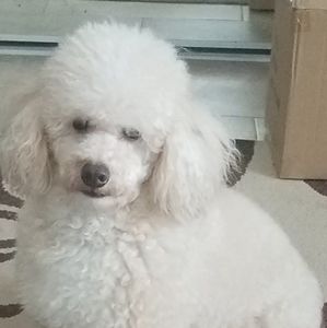 Meet your Posher, Kathleen